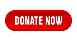 donate now button. donate now rounded red sign. donate now